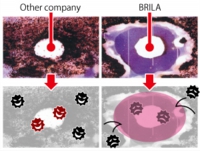 BRILA_HP素材¥lineup_interior_safe_zoom.jpg